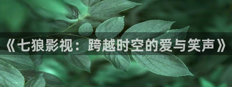 浮力备用影院：《七狼影视：跨越时空的爱与笑声》