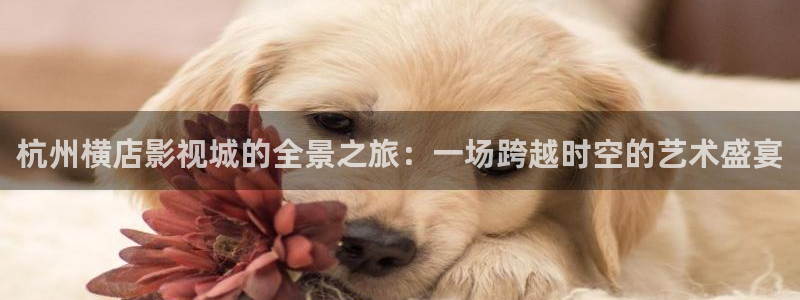 浮力操操影院：杭州横店影视城的全景之旅：一场跨越时空的艺术盛宴