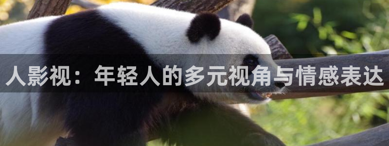浮力电影院：人影视：年轻人的多元视角与情感表达