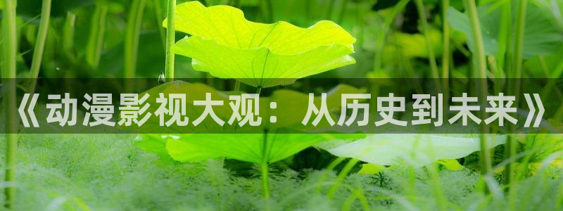 欧美浮力影院第一页：《动漫影视大观：从历史到未来》