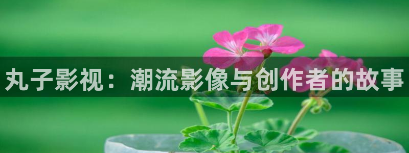 浮力影院免费观看电视剧：丸子影视：潮流影像与创作者的故事