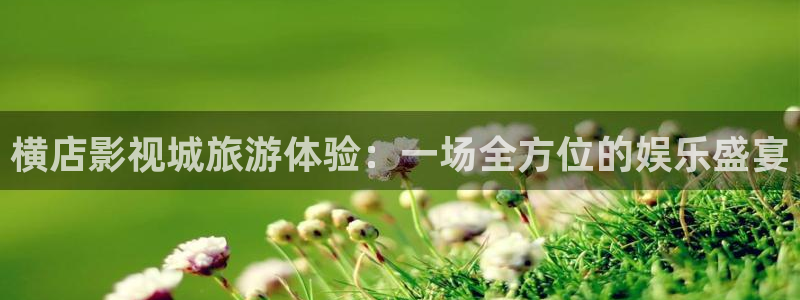 浮力在线影院：横店影视城旅游体验：一场全方位的娱乐盛宴