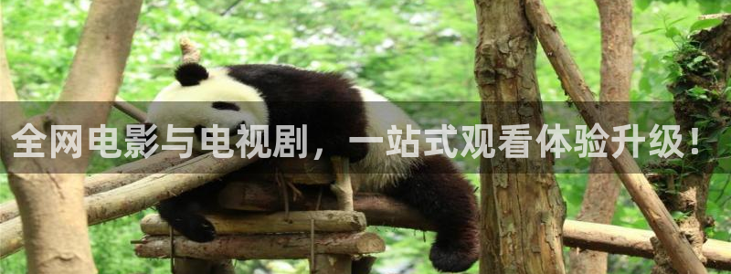 欧美第一浮力影院：全网电影与电视剧，一站式观看体验升级！