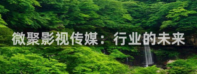 限制1浮力影院：微聚影视传媒：行业的未来