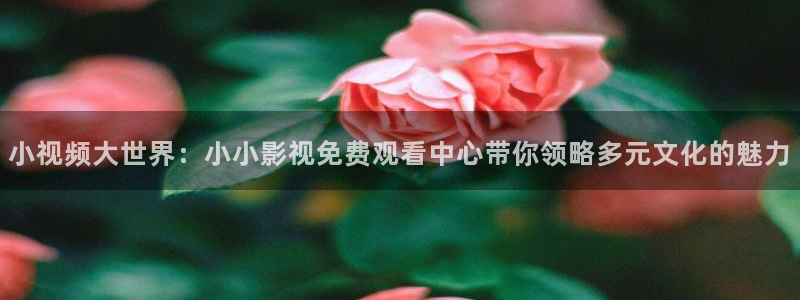 abxx.com浮力影院：小视频大世界：小小影视免费观看中心带你领略多元文化的魅力